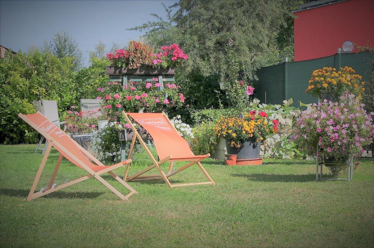 فندق Haus Marianne Franzhausen المظهر الخارجي الصورة
